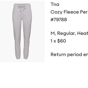 Tna cozy fleece perfect sweat pants Medium Aritzia